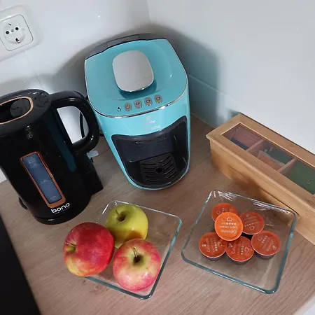 Апартаменты Wohlfuehlwohnung Rappottenstein