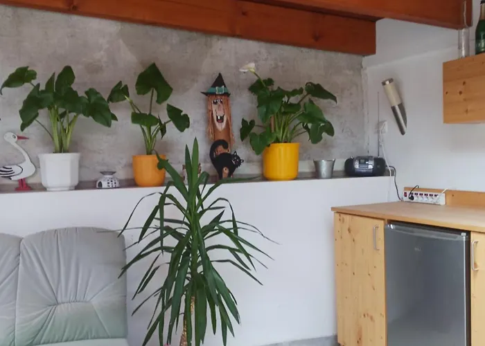 Wohlfuehlwohnung * Rappottenstein