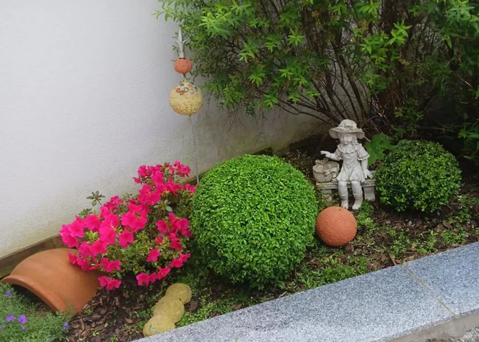 Apartman Wohlfuehlwohnung Rappottenstein